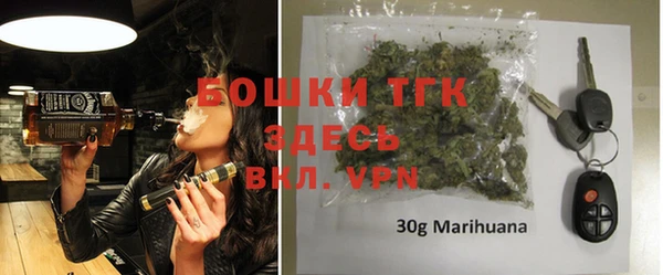 индика Алексеевка