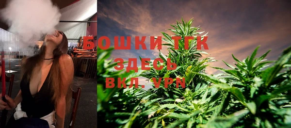 ешки Алзамай