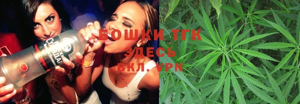 ешки Алзамай