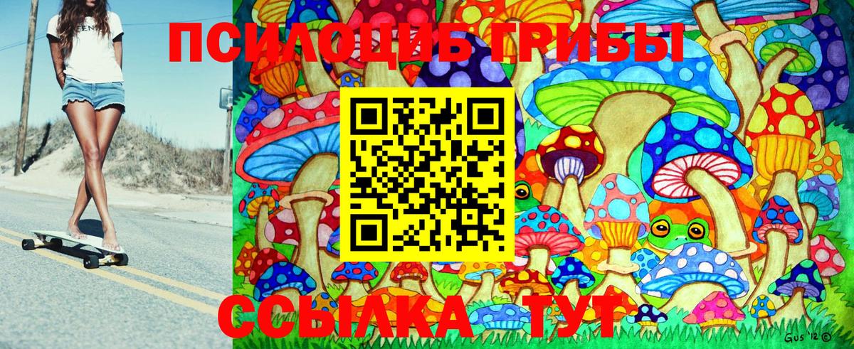 Галлюциногенные грибы GOLDEN TEACHER Новоалександровск