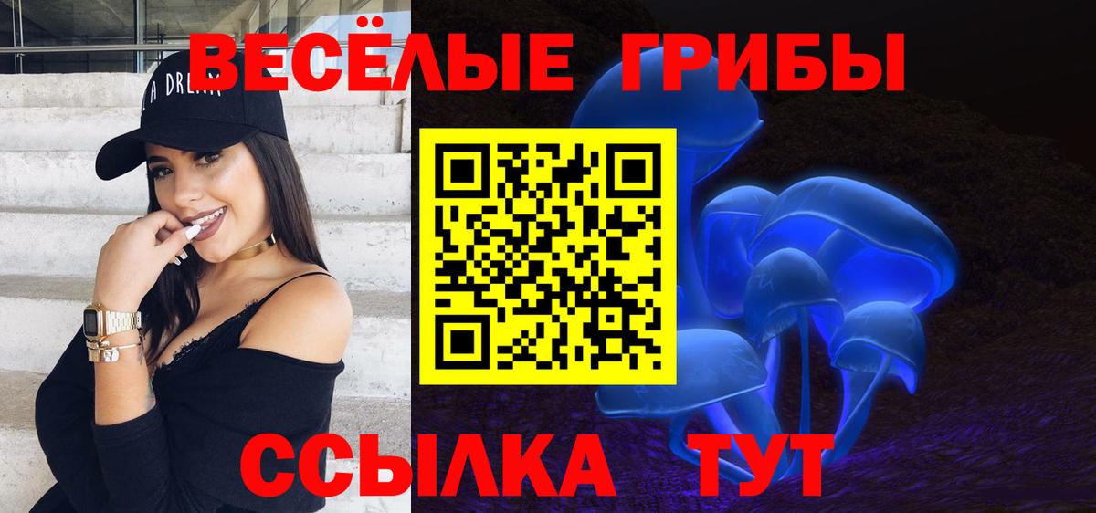 Новоалександровск  Галлюциногенные грибы MAGIC MUSHROOMS  Вход с VPN  Псилоцибиновые грибы мицелий 